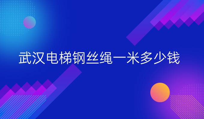 武漢電梯鋼絲繩一米多少錢