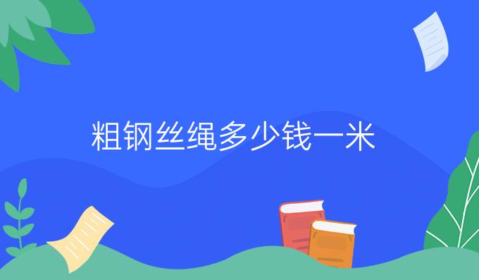 粗鋼絲繩多少錢一米