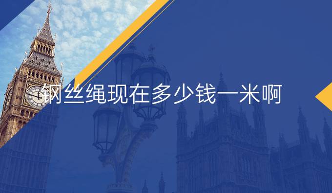 鋼絲繩現在多少錢一米啊