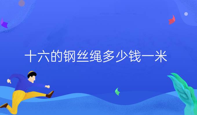 十六的鋼絲繩多少錢一米