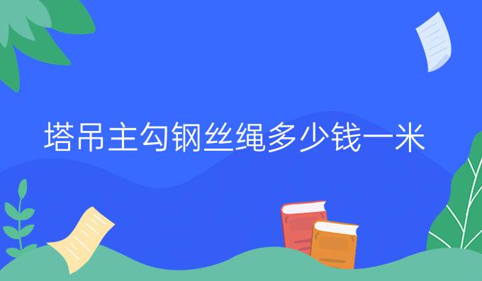塔吊主勾鋼絲繩多少錢一米