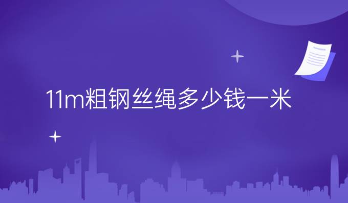 11m粗鋼絲繩多少錢一米