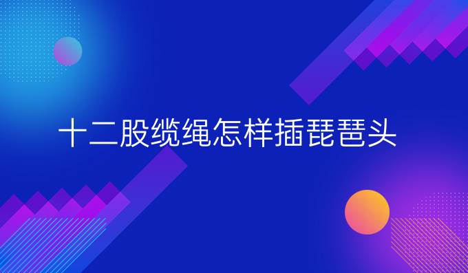 十二股纜繩怎樣插琵琶頭