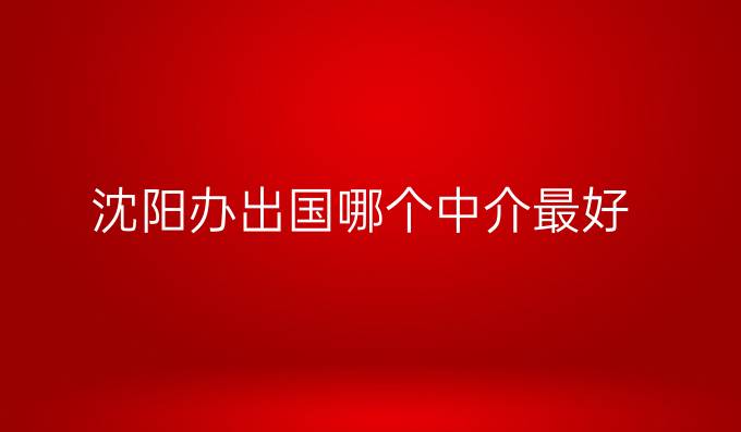 沈陽(yáng)辦出國(guó)哪個(gè)中介最好
