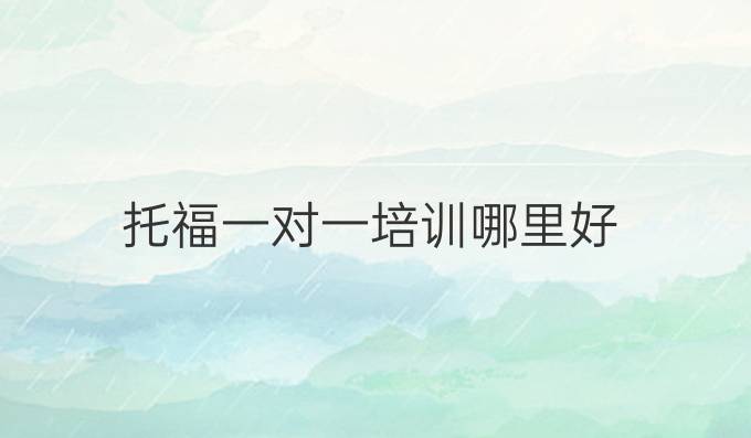 托福一對(duì)一培訓(xùn)哪里好