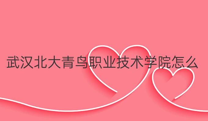 武漢北大青鳥職業技術學院怎么樣