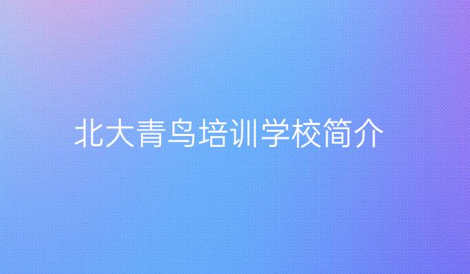 北大青鳥培訓學校簡介