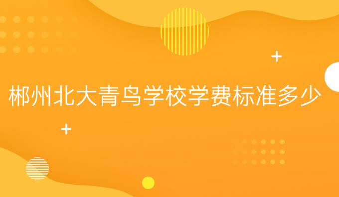 郴州北大青鳥學校學費標準多少